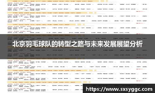 北京羽毛球队的转型之路与未来发展展望分析