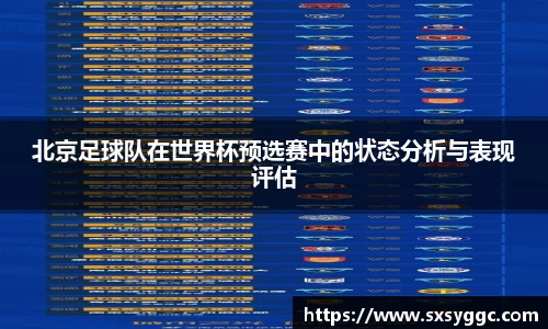 北京足球队在世界杯预选赛中的状态分析与表现评估