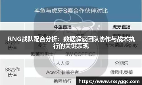 RNG战队配合分析：数据解读团队协作与战术执行的关键表现