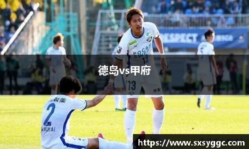 德岛vs甲府