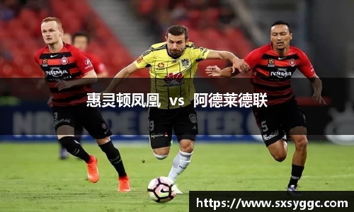 惠灵顿凤凰  vs  阿德莱德联
