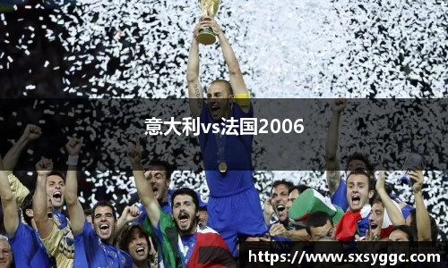 意大利vs法国2006