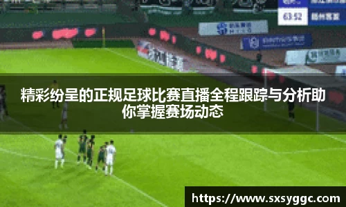 精彩纷呈的正规足球比赛直播全程跟踪与分析助你掌握赛场动态