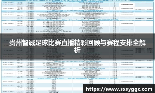 贵州智诚足球比赛直播精彩回顾与赛程安排全解析