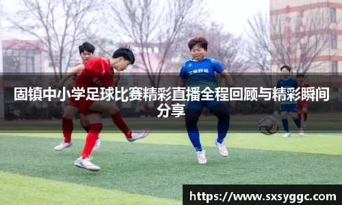 固镇中小学足球比赛精彩直播全程回顾与精彩瞬间分享