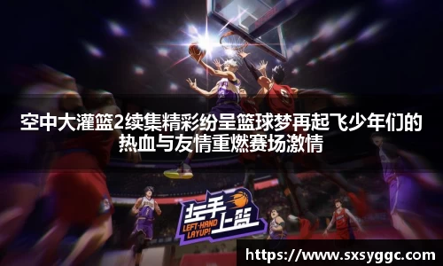 空中大灌篮2续集精彩纷呈篮球梦再起飞少年们的热血与友情重燃赛场激情