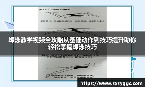 蝶泳教学视频全攻略从基础动作到技巧提升助你轻松掌握蝶泳技巧